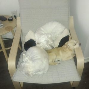 Meet your Posher, Ty